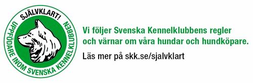 skk.se skk.se